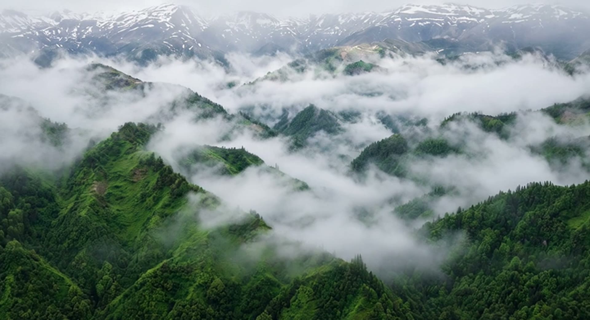 Green mountain ridges rising through drifting fog beneath snow-capped peaks